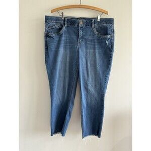 Democracy Jeans Women's Size 20w Blue Denim Ab Solution Stretchy